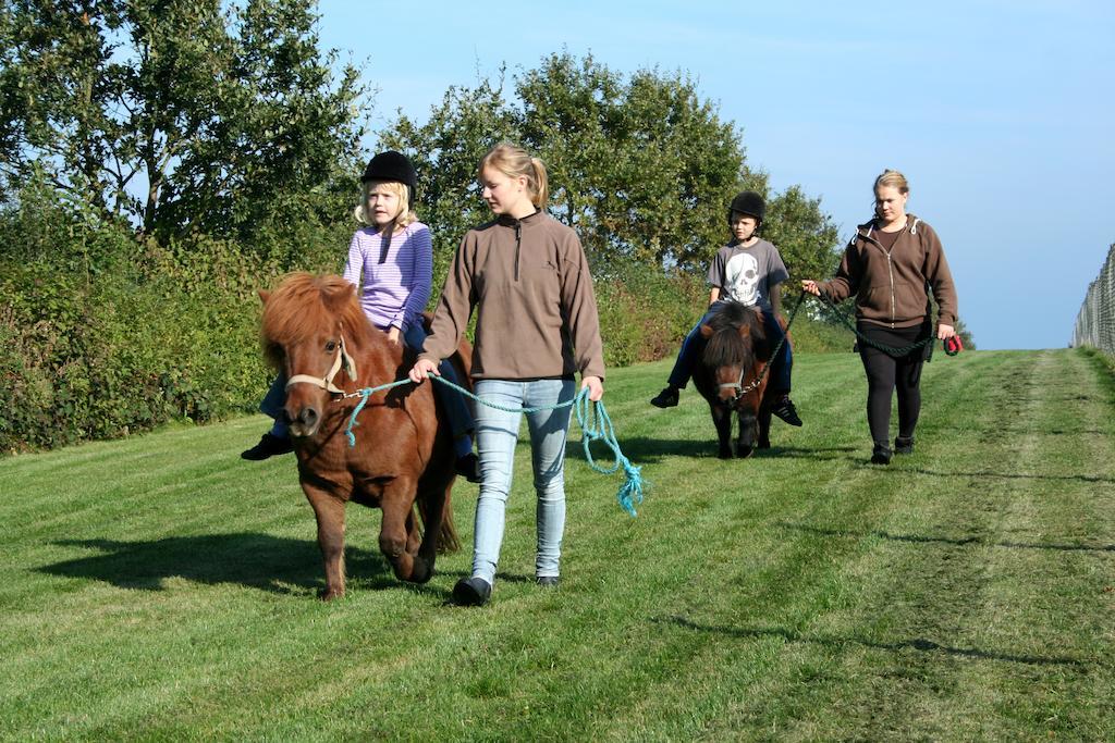 Camp Hverringe Dalby Экстерьер фото